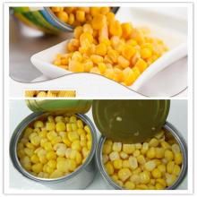 Fully Cooked Canned Sweet Kernel Corn 3kg for sale