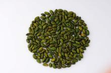 Green Pistachio A ( Super Green )