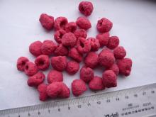Vacuum  fd   raspberry  whole