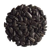  Grape   seed   extract /Clivia  seed s/ Grape   seed   extract /Ambrosia Cantaloupe  seed /Carrot/Radish  Seed s