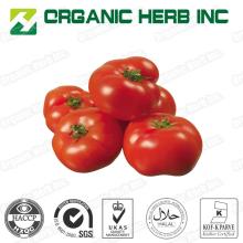 Lycopene 5%, 6%, 10% Tomato Extract