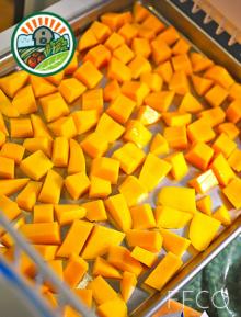 Individually Quick Frozen Chunked mango Type 1 Best quality with Competituve price for Export 2015