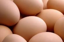 2016 CHICKEN FRESH BROWN / WHITE TABLE EGGS FOR HUMAN CONSUMPTION.