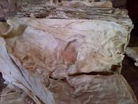 Frozen,We/ Dry   Salted  Cow Hides