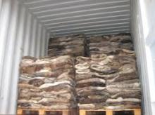 Best Quality  WET   SALTED   COW  HIDE and  COW  HEAD