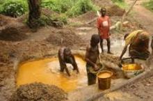RBD PALM OIL