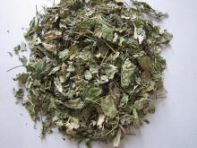 Melissa leaves/ Lemon Balm Leaves (cleaned /with sticks)