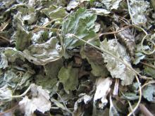 Melissa leaves/ Lemon Balm Leaves, Top Grade from Iran