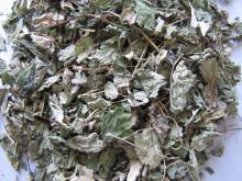 Melissa leaves/  Lemon   Balm  Leaves(cleaned /with sticks)
