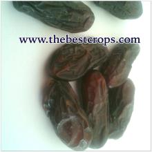 Dried Date from Iran, Top Grade