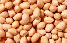 Dried Raw Sweet Peanut Kernels for sale