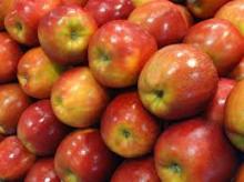 Fresh Fuji Apples