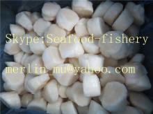 Frozen Scallops meat