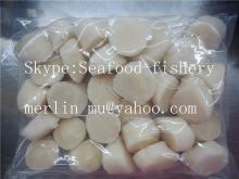 IQF Scallops adductor meat