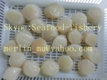 Frozen  Scallop s  adductor  meat