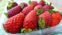 Fresh Strawberry