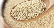 AMARANTH SEEDS