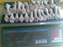 wholesale supply of Chicken feet, seeds,nuts and other agricutural products