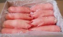 Frozen Pork Breast Bones,Pork Meat without Fat,Pork ham and collars From Japan