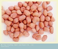 Chinese  Groundnut   Kernel s/Peanut  Kernel s for Sale