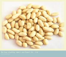 Chinese High Quality  Raw   Blanched   Peanut  HOT SALE!