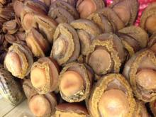 Dried Sea Ablone