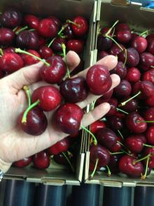  fresh  cherry