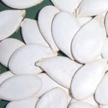 snow white pumpkin seeds