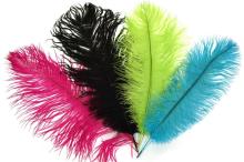 OSTRICH FEATHERS