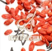 Plump Lissom Attentive Goji Fructus