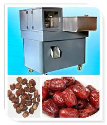 Fruit Process Jujube and Date Pit Machine
