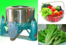 Hot Sale  Vegetable   Drying   Machine 