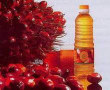 Refined Palm Oil