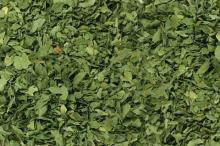 Parsley Leaves Crushed