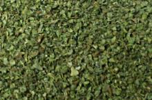 Marjoram (Green / Green)