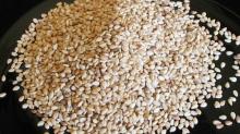 Quoality Canola Seeds special sales