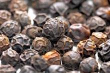 Black Pepper High Quality 500- 550- 600gl