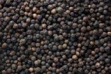 Best Price High Qulity Black Pepper