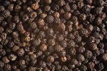 Dried Black Pepper and White Pepper Best Price For Sale