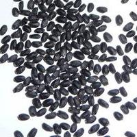Basil Seeds