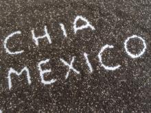CHIA SEEDS