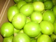 Turkey Fresh Lemon