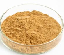Ginkgo Biloba P.E.