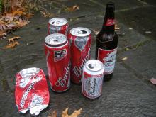 budweiser Beer 330ml Bottle & Can