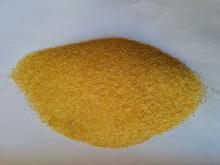  Durum  Wheat Coarse  semolina 