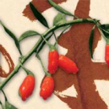 Unusual Exquisite Mineral  Vitamins  Goji Tea