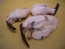 Frozen Conch Meat / Frozen Geoduck / Frozen Escargots