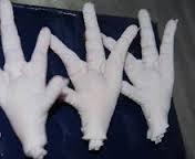 FROZEN CHICKEN PAWS PROCESSED GRADE A