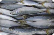 New arrival dried salted cod fish(himetara) for sale