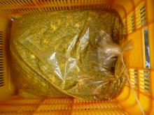 Passionfruit pulp with seed